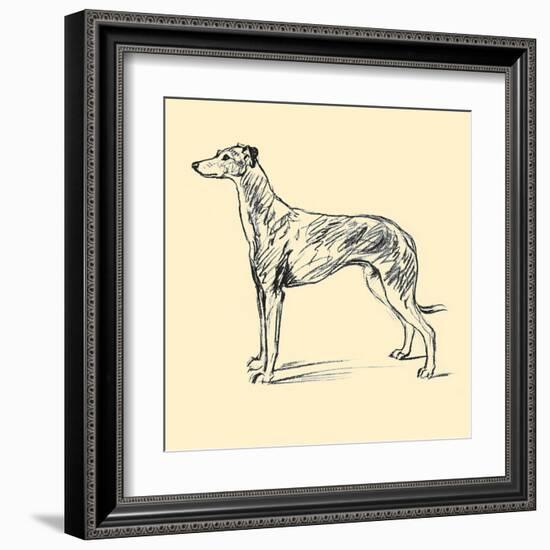 Radicome The Greyhound-Lucy Dawson-Framed Art Print