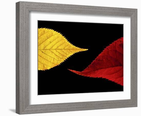 Radient-Doug Chinnery-Framed Photographic Print