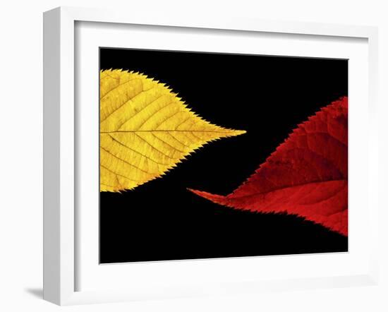 Radient-Doug Chinnery-Framed Photographic Print