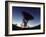 Radio Telescope, Magdalena, New Mexico, USA-Walter Bibikow-Framed Photographic Print