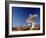 Radio Telescope-David Nunuk-Framed Photographic Print