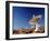 Radio Telescope-David Nunuk-Framed Photographic Print