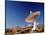 Radio Telescope-David Nunuk-Mounted Photographic Print