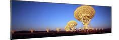 Premium Photographic Print