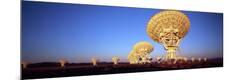 Premium Photographic Print