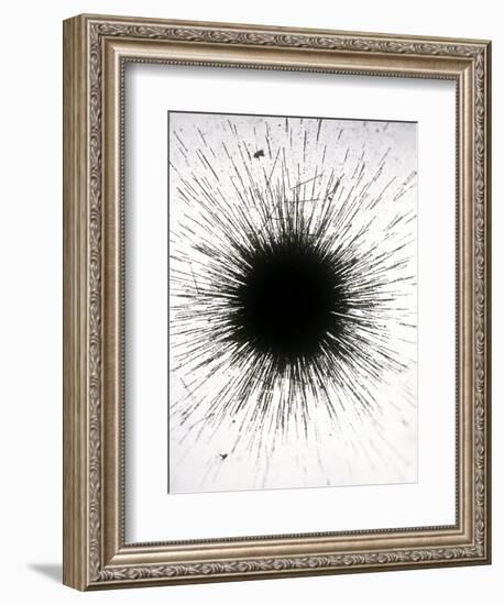 Radioactive Emission From Radium-C. Powell-Framed Photographic Print