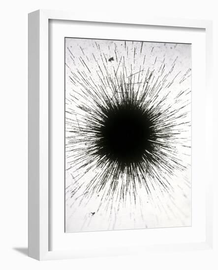 Radioactive Emission From Radium-C. Powell-Framed Photographic Print