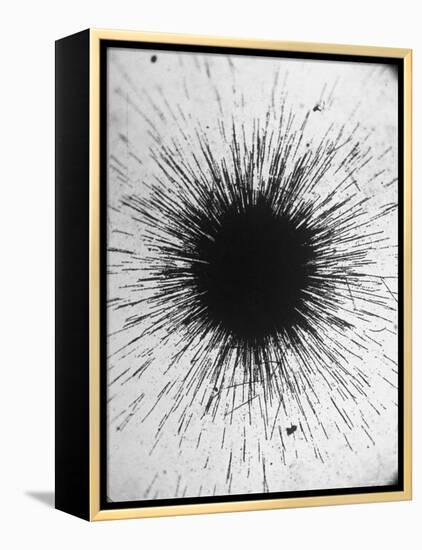 Radioactivity of Radium is Revealed by a Tiny Speck Showing the Tracks of Particles Emitted-Fritz Goro-Framed Premier Image Canvas