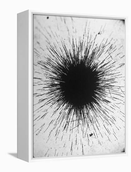 Radioactivity of Radium is Revealed by a Tiny Speck Showing the Tracks of Particles Emitted-Fritz Goro-Framed Premier Image Canvas