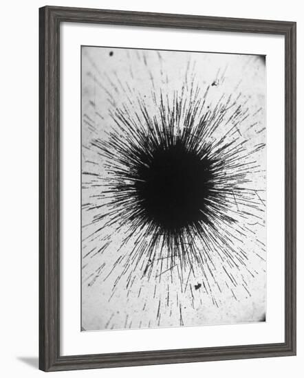 Radioactivity of Radium is Revealed by a Tiny Speck Showing the Tracks of Particles Emitted-Fritz Goro-Framed Photographic Print