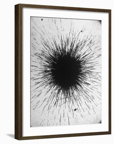 Radioactivity of Radium is Revealed by a Tiny Speck Showing the Tracks of Particles Emitted-Fritz Goro-Framed Photographic Print