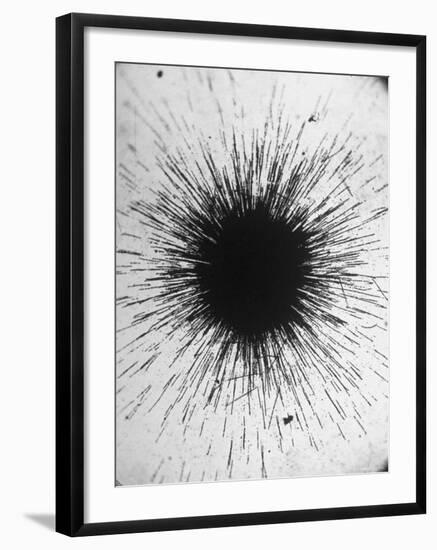 Radioactivity of Radium is Revealed by a Tiny Speck Showing the Tracks of Particles Emitted-Fritz Goro-Framed Photographic Print