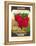 Radish Seed Packet-null-Framed Stretched Canvas