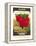 Radish Seed Packet-null-Framed Stretched Canvas