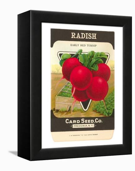 Radish Seed Packet-null-Framed Stretched Canvas