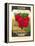 Radish Seed Packet-null-Framed Stretched Canvas