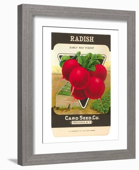 Radish Seed Packet-null-Framed Art Print