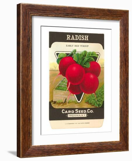 Radish Seed Packet-null-Framed Art Print