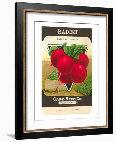 Radish Seed Packet-null-Framed Art Print