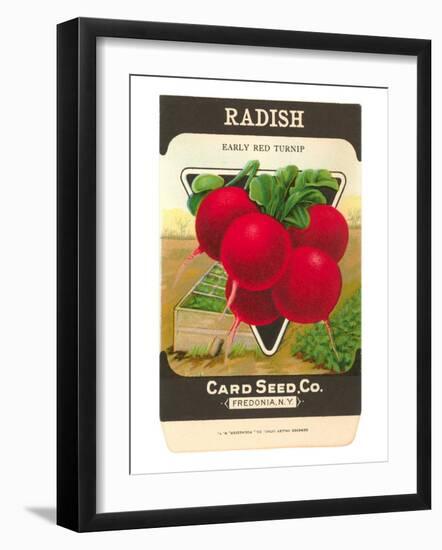 Radish Seed Packet-null-Framed Art Print