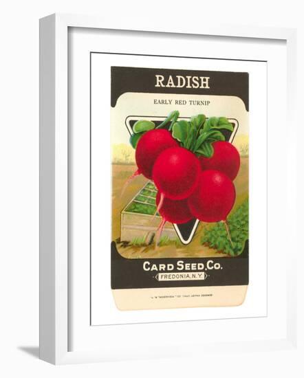 Radish Seed Packet-null-Framed Art Print