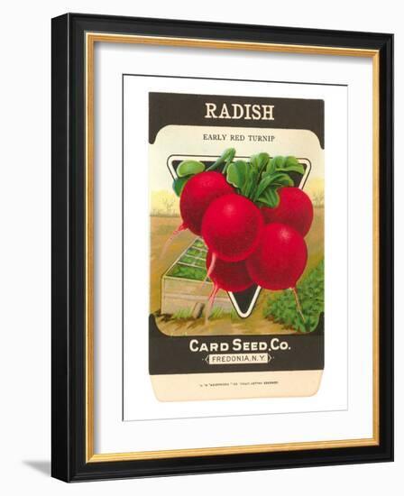 Radish Seed Packet-null-Framed Art Print