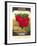 Radish Seed Packet-null-Framed Art Print