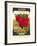 Radish Seed Packet-null-Framed Art Print