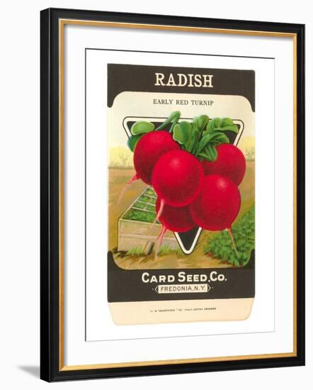 Radish Seed Packet-null-Framed Art Print