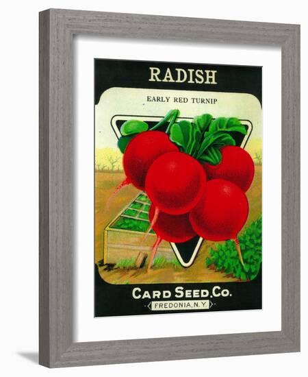 Radish Seed Packet-Lantern Press-Framed Art Print