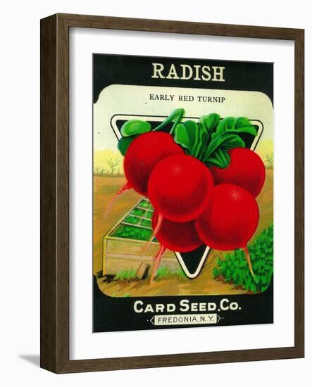 Radish Seed Packet-Lantern Press-Framed Art Print