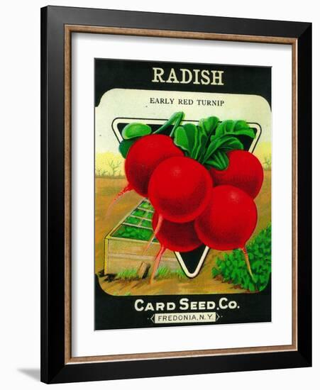 Radish Seed Packet-Lantern Press-Framed Art Print