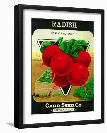 Radish Seed Packet-Lantern Press-Framed Art Print