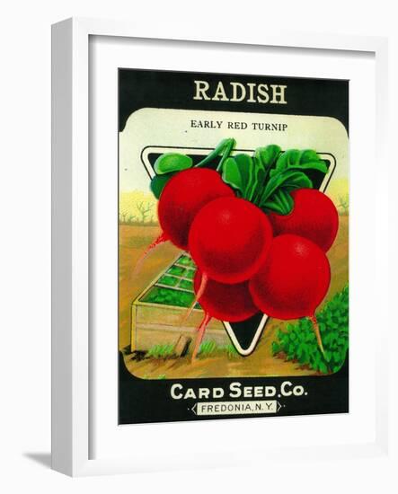 Radish Seed Packet-Lantern Press-Framed Art Print