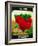 Radish Seed Packet-Lantern Press-Framed Art Print