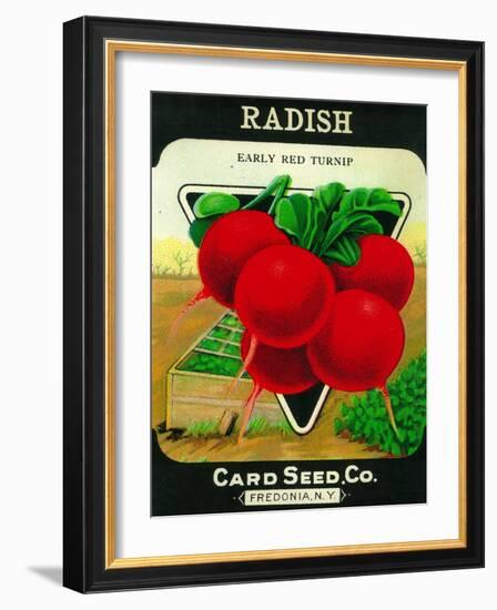 Radish Seed Packet-Lantern Press-Framed Art Print