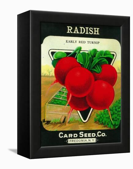 Radish Seed Packet-Lantern Press-Framed Stretched Canvas