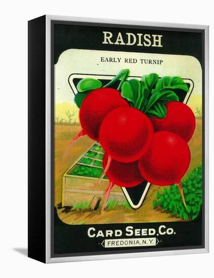 Radish Seed Packet-Lantern Press-Framed Stretched Canvas