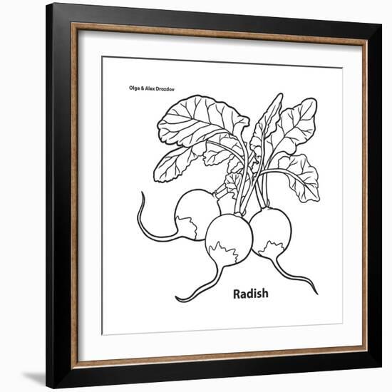 Radish-Olga And Alexey Drozdov-Framed Giclee Print