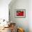 Radishes and Tomatoes on a Market Stall, France, Europe-Richardson Peter-Framed Photographic Print displayed on a wall