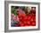 Radishes and Tomatoes on a Market Stall, France, Europe-Richardson Peter-Framed Photographic Print