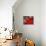 Radishes and Tomatoes on a Market Stall, France, Europe-Richardson Peter-Mounted Photographic Print displayed on a wall