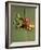 Radishes, Blackberries, Tomatoes and Nectarines-Louise Lister-Framed Photographic Print