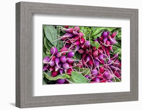 Radishes, USA-Jim Engelbrecht-Framed Photographic Print