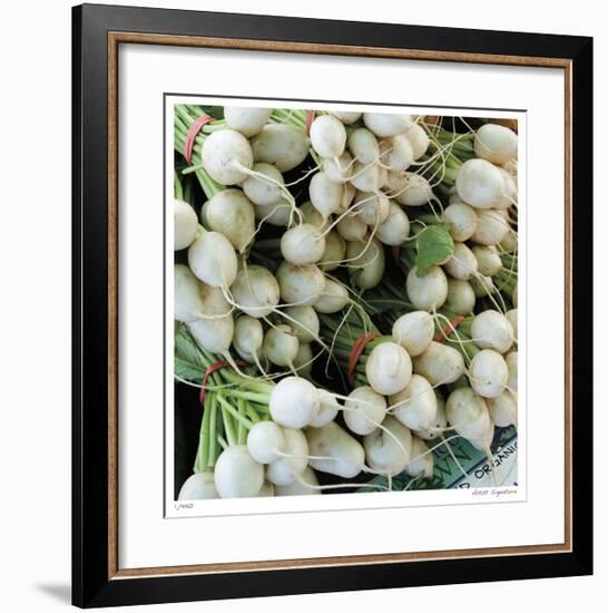 Radishes-Stacy Bass-Framed Giclee Print