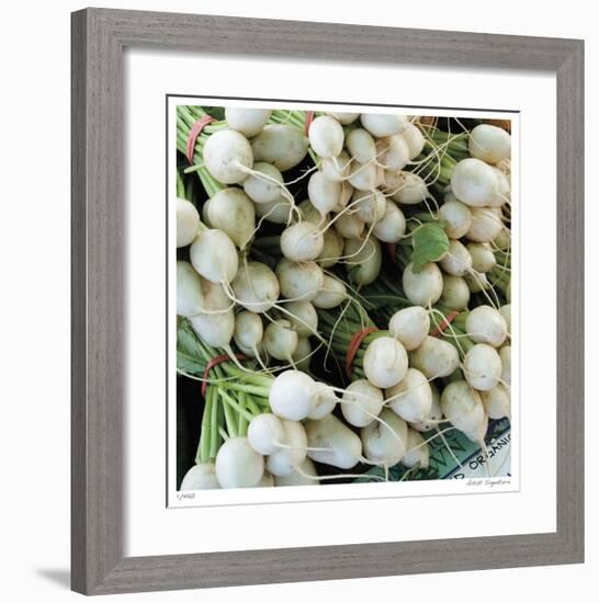 Radishes-Stacy Bass-Framed Giclee Print