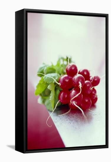 Radishes-David Munns-Framed Premier Image Canvas