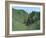 Radnor Walk-Paul Bailey-Framed Art Print