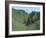 Radnor Walk-Paul Bailey-Framed Art Print