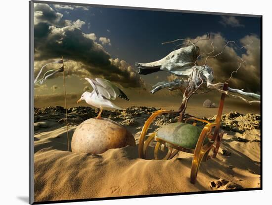 Photographic Print, , large